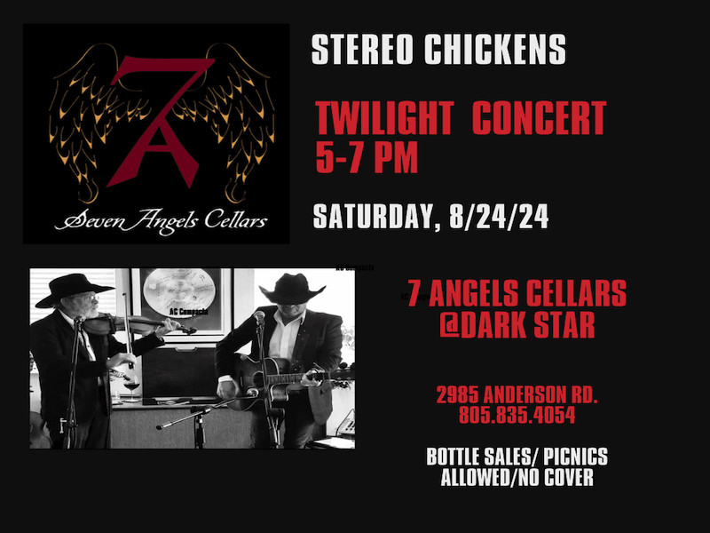 Twilight Concert With the Stereo Chickens